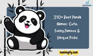 Panda Names