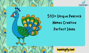 Peacock Names