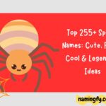 Spider Names