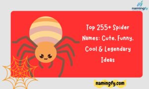 Spider Names