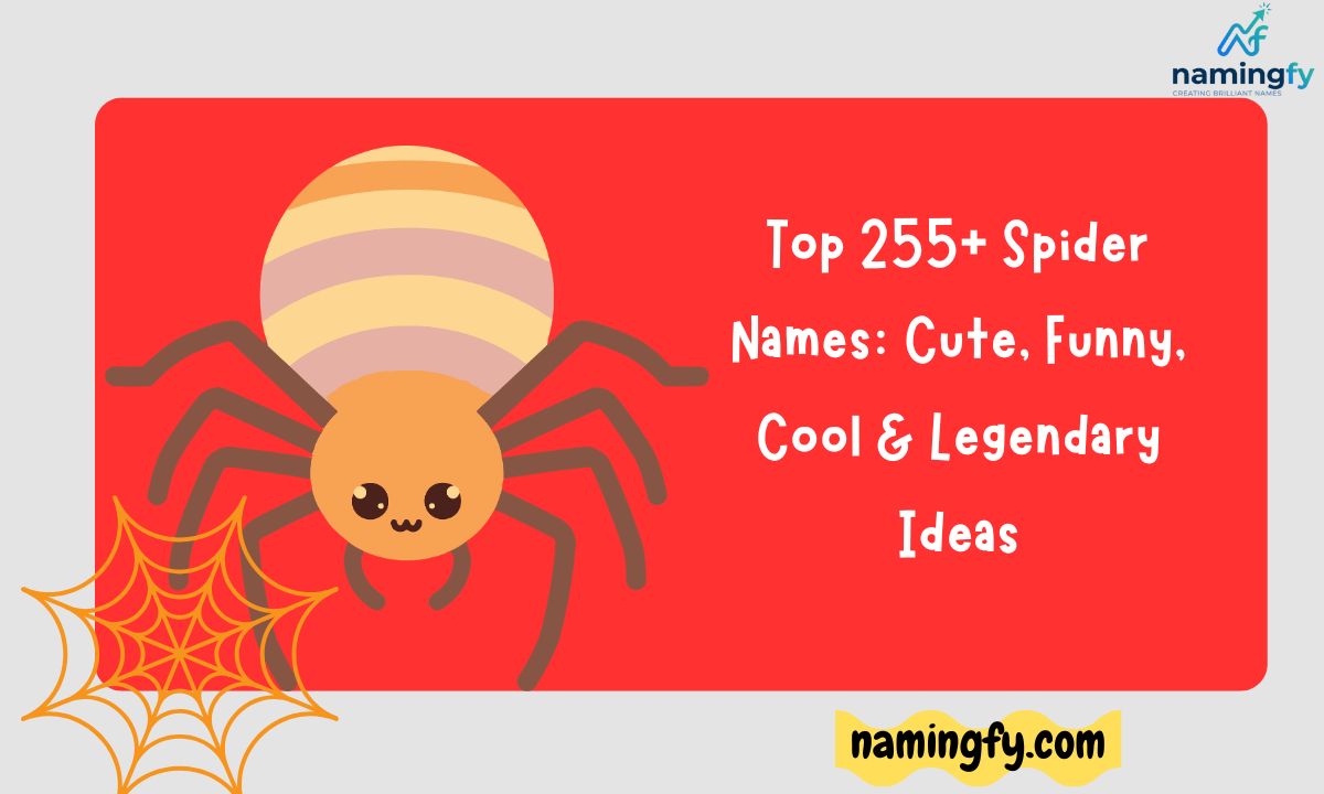 Spider Names