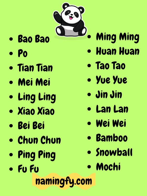 Unique Panda Names and Their Origins