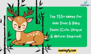 names for dear