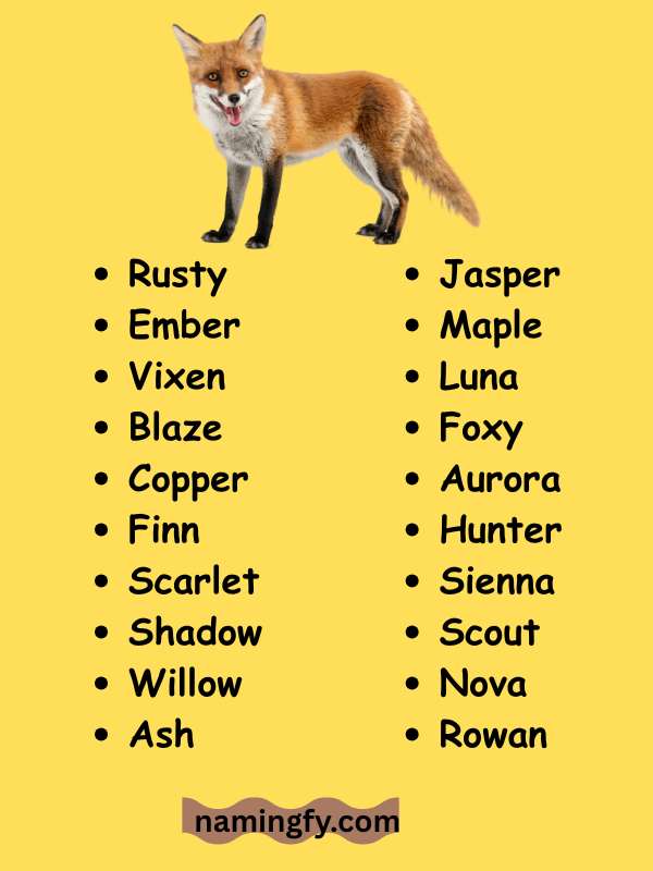 A Name For An Ice Fox