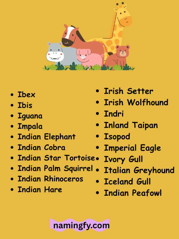 Animals That Start With I For Kids
