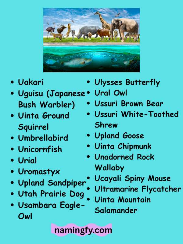 Animals That Start With The Letter U
