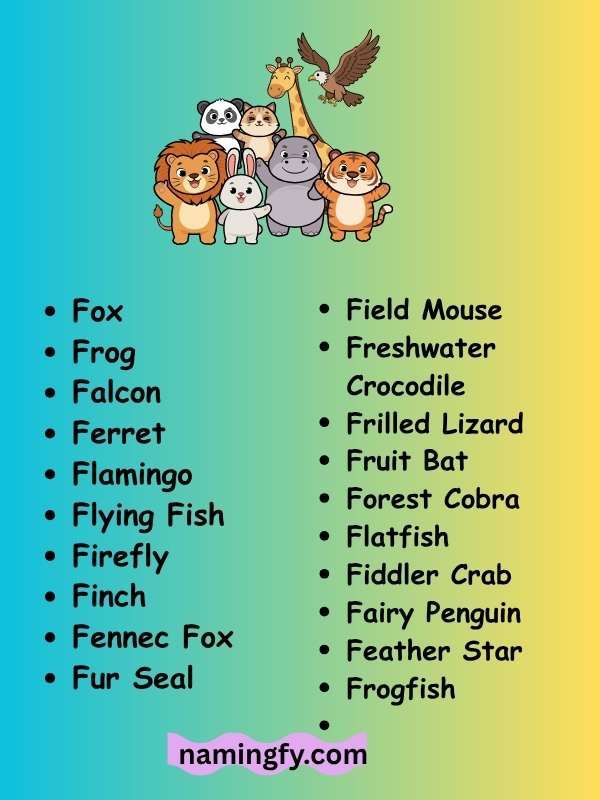 Cute Animals That Start With F