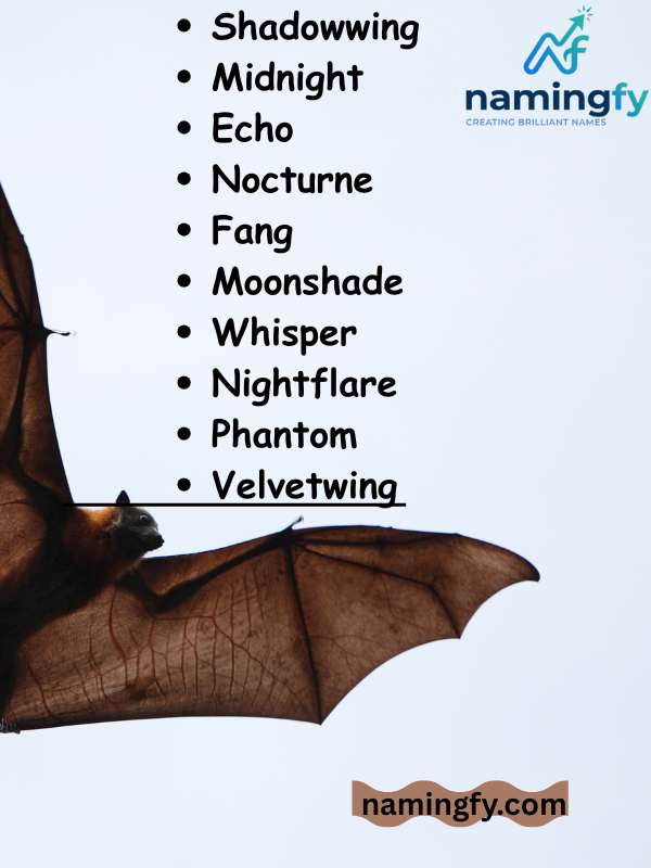 Cute Bat Names