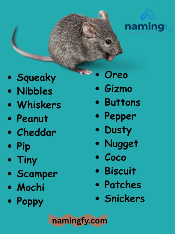Mouse Names Male