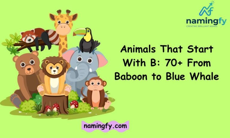 Animals That Start With B