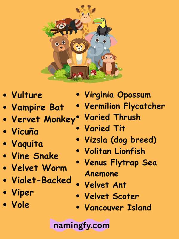 Mammals That Start With V