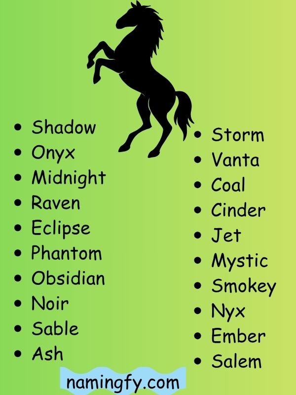 Black Horse Names RDR2